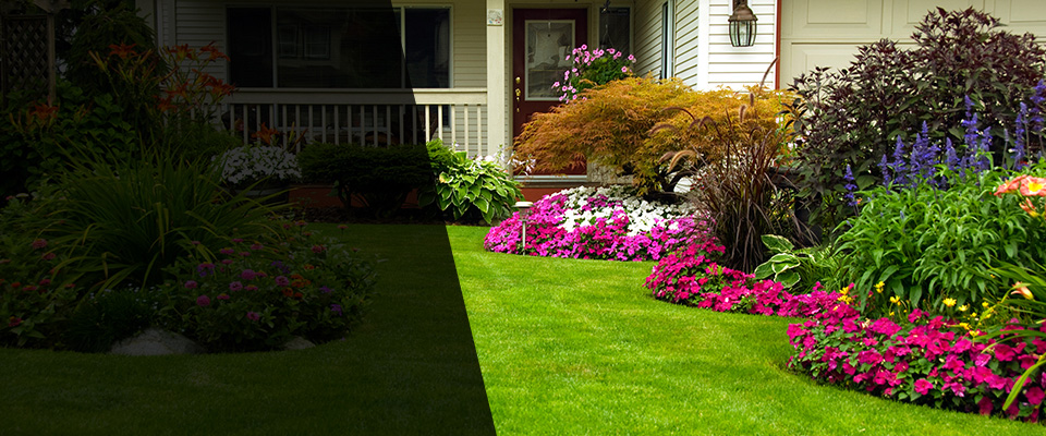 Ridgewood Landscapers